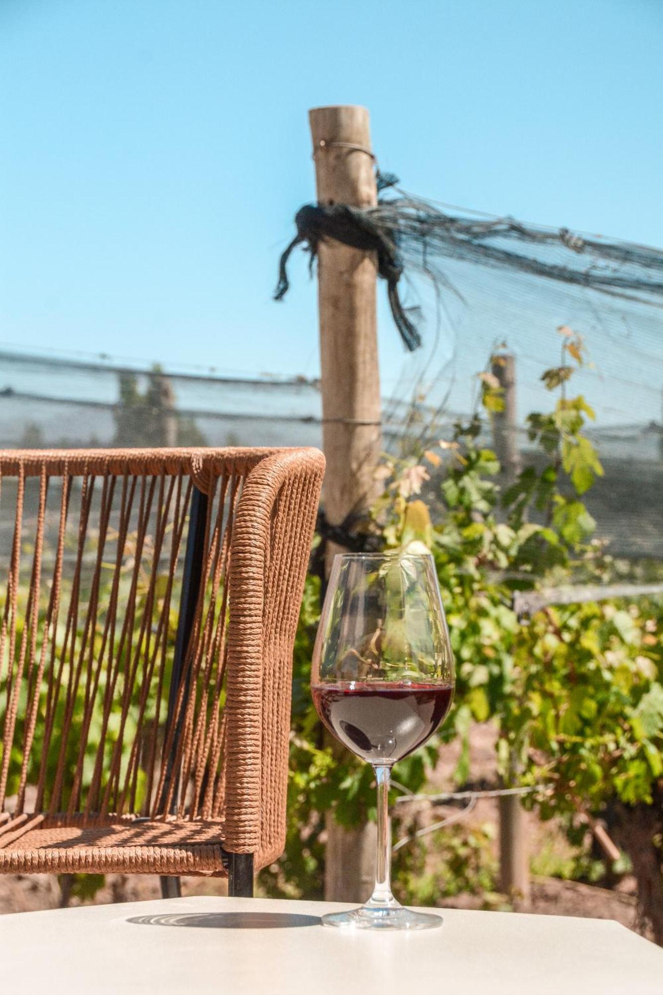 Agrelo Vines Lodge Eksteriør billede