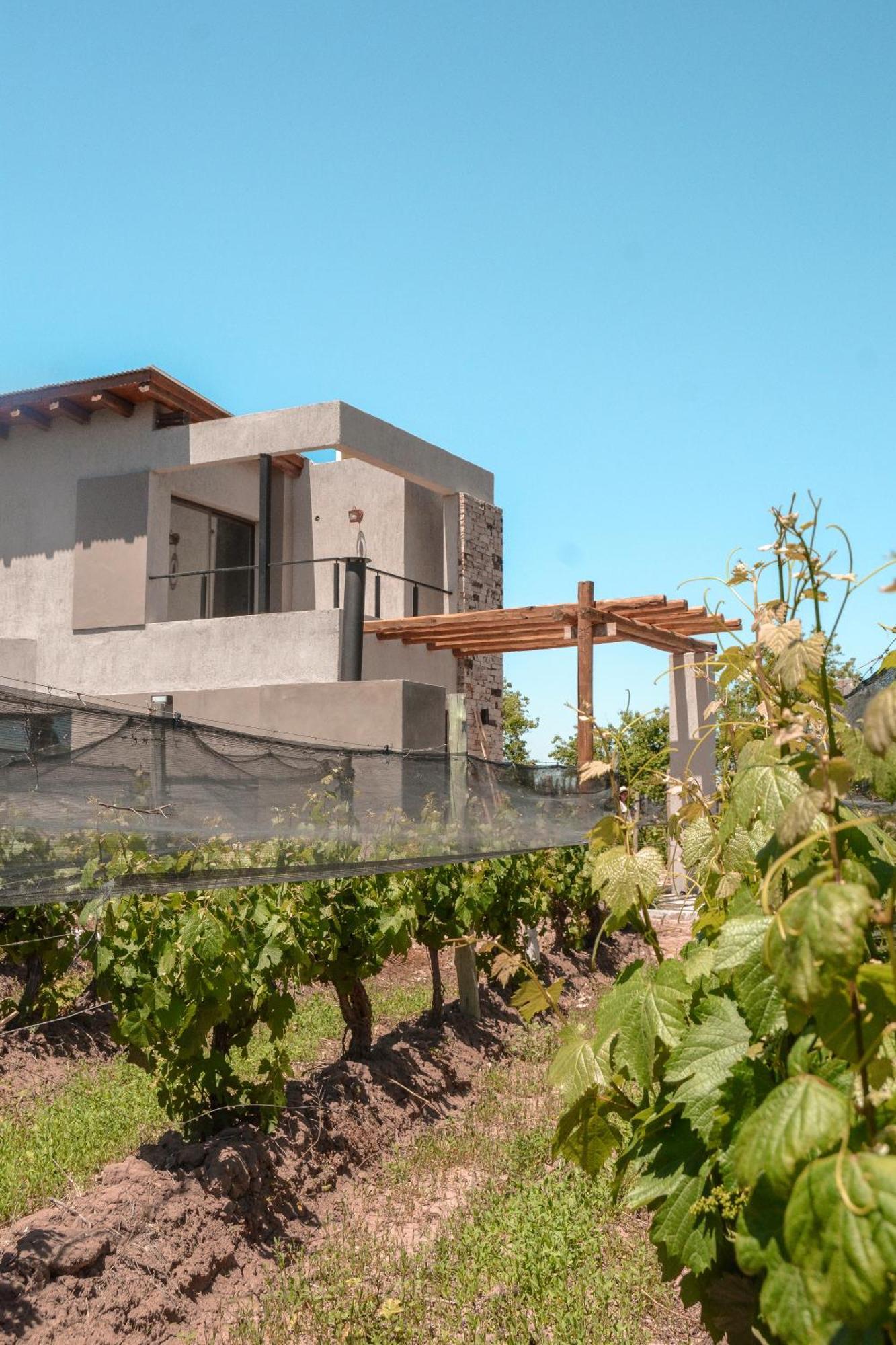 Agrelo Vines Lodge Eksteriør billede