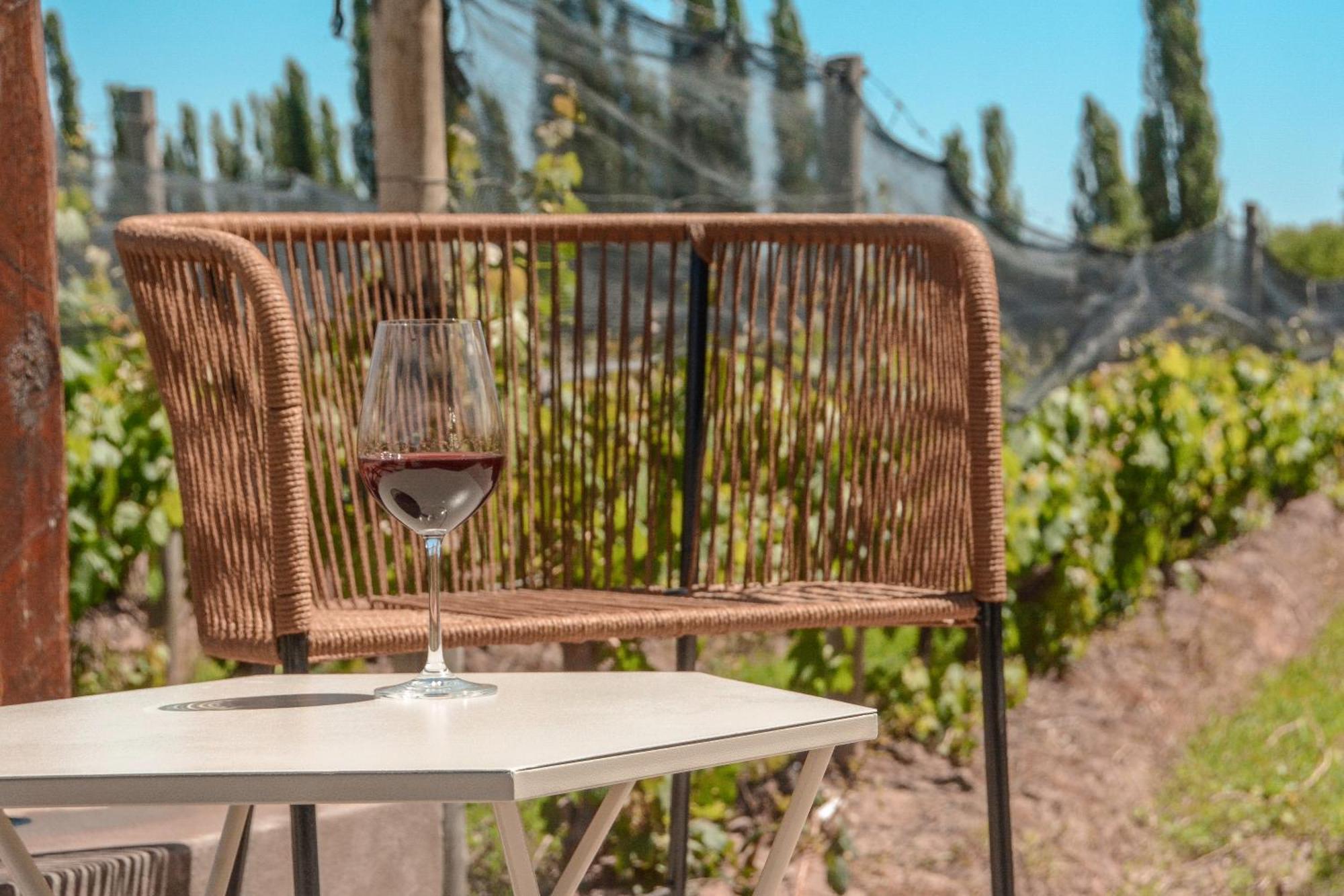 Agrelo Vines Lodge Eksteriør billede