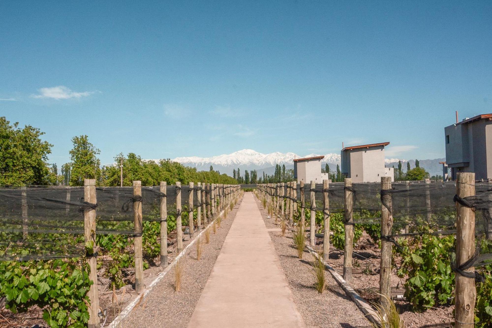Agrelo Vines Lodge Eksteriør billede