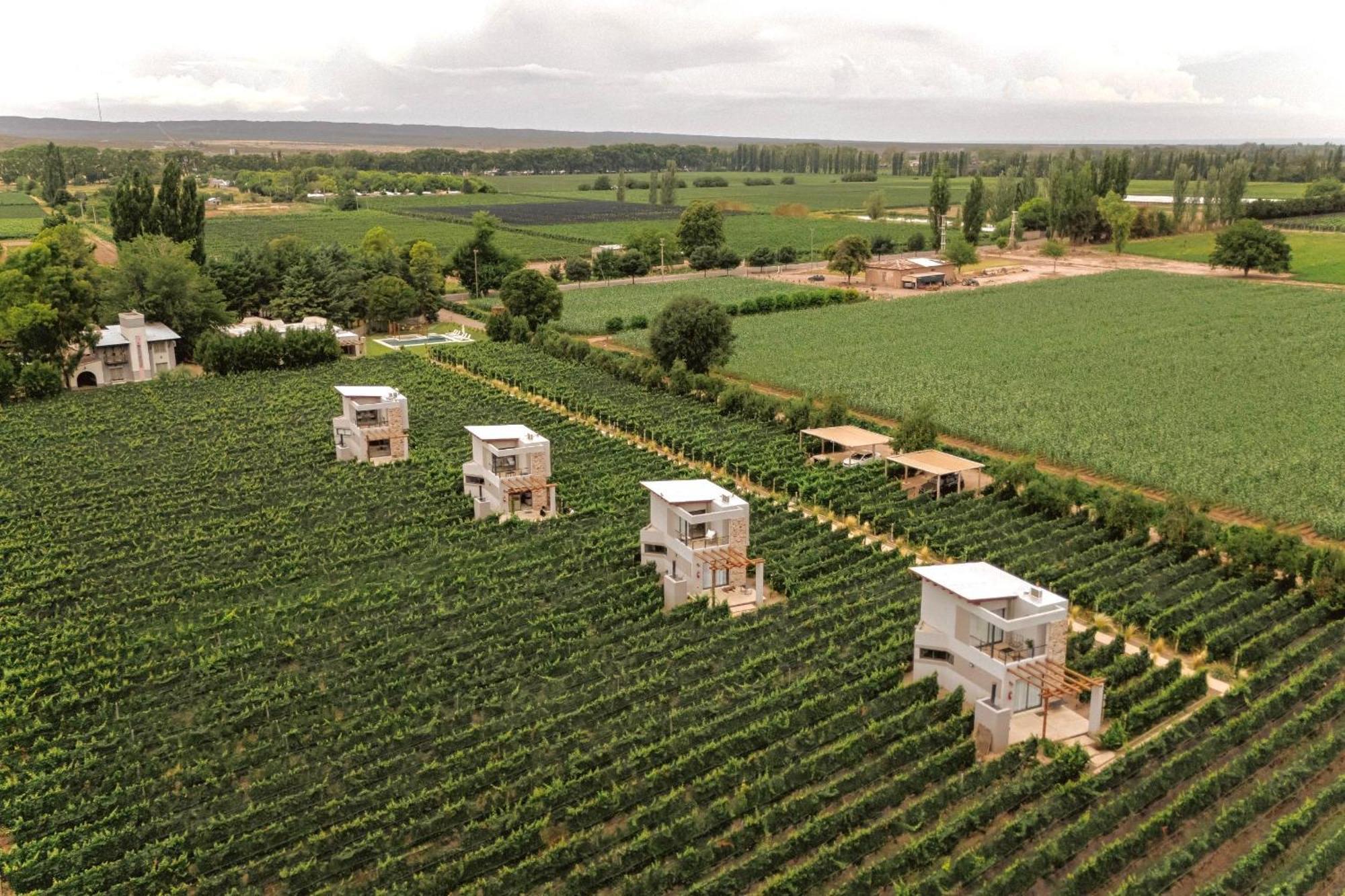 Agrelo Vines Lodge Eksteriør billede